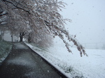 DSC04315.JPG