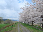 DSC04415.JPG
