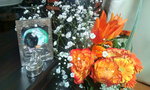 F1000731.jpg